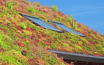 Ashby By Partney living roof systems