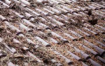 Ashby By Partney roof cleaning companies