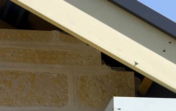 soffit repair Ashby By Partney