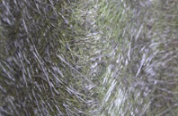 Ashby By Partney fibreglass roof work